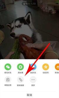 全民爆料完整版视频,事件真相与幕后黑幕深度解析